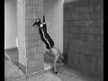 Urban Dimension Trening Si?owy