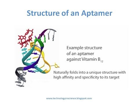 how to isolate rna binding protein