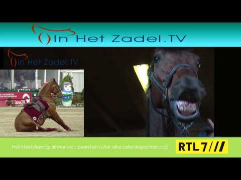 Promo InHetZadel.TV