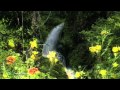 Toi qui souffres (Théma) TEXTE ! ♥FREDERIC DELARUE - Believe ♥ VIDEO!!