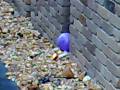 videos de Hydrogen Balloon 1