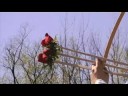 part 3 of PIFAS/GFKH video project shot by Shawn Kornhauser starring Nathaniel Holt.  produced and directed by EW, April 2008.  http://pifas.net/main/project/28