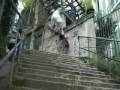 bike phenom