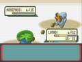 Gym Battle 1 - Roxanne