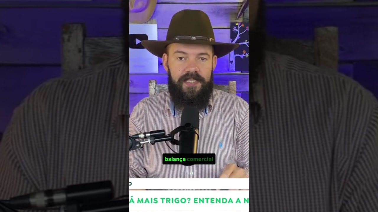 Brasil Importará Mais Trigo? Entenda a Nova Projeção da Conab