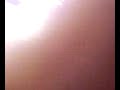Vídeo secreto da aula de histologia!!! Vídeo secreto da aula de histologia!!!