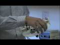 videos de Summer Enrichment at Dartmouth: Robots