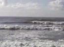 videos Surf