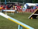 European Open 2008 - Eni (agility)