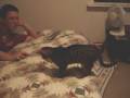 videos de NyahFetch