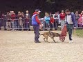 debourage du chien