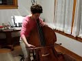 Gaelen's Double Bass Concerto
