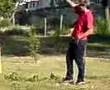 los 3 cochinitos cecytem coacalco