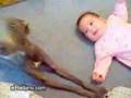 Y ahora �qui�n calla al perrro? (Posteado por Flopita)