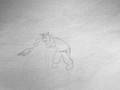 videos de Reaction to an object