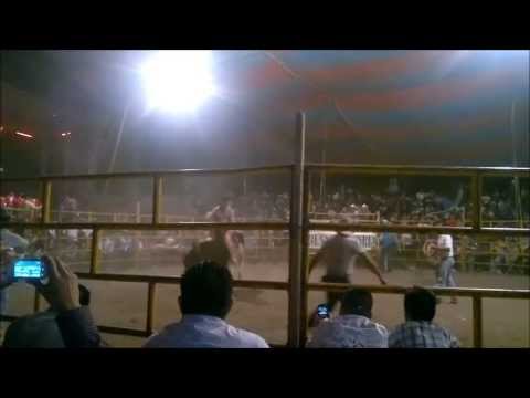 Jaripeo Tepeojuma 2011