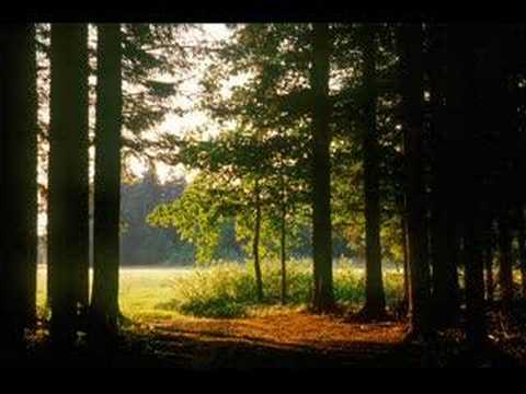 Marsch aus Peter und der Wolf