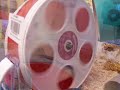 Gnasher wuvs his wodent wheel!!!