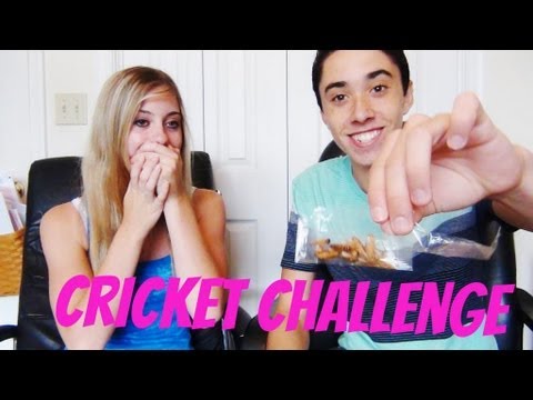 Eating Crickets Challenge!