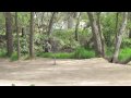 disc golf St patrick 2010 final round part 2.m4v