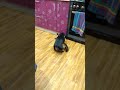 https://www.youtube.com/watch?v=UJWv3uuvz_A