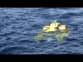 Danaos Project 2007 - Thetis Deploys