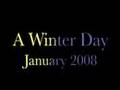 A-Winter-Day-January