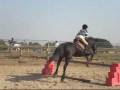 Saturday Horse Riding Remix // September - October*