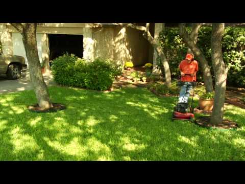 how to lawn care tips