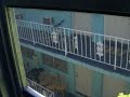 Bank Owned Condo in South Beach