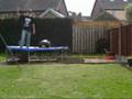 backyard Wrestling WWT