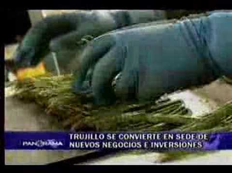 Ver video