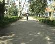 Video clip-Puddle Of mudd (blurry)
