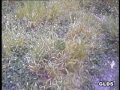 DF60 HQ CAM TEST FLY OUTDOOR DF60 HQ CAM TEST FLY OUTDOOR