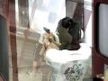 BANGKOK yu-KI.mp4