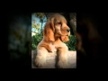 Purebred Breeders is totally against a Puppy Mill Dogs