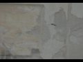 From 2002. Downloadable in decent quality from the band's homepage: www.gire.hu!