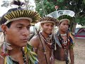 reserva indigina da jaqueira