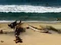Fishermans 2 Fishermans 2