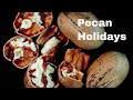 Pecan-Holiday-Insigh
