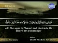 View Video