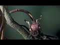 ZZT - The Worm (Original Munich Version) ZZT - The Worm (Original Munich Version)