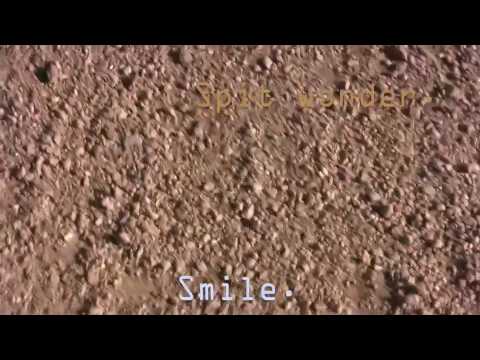 samiya-bashir
