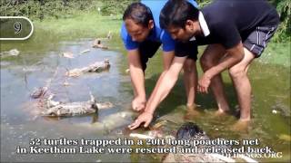 Top 16 Rescues Of 2016