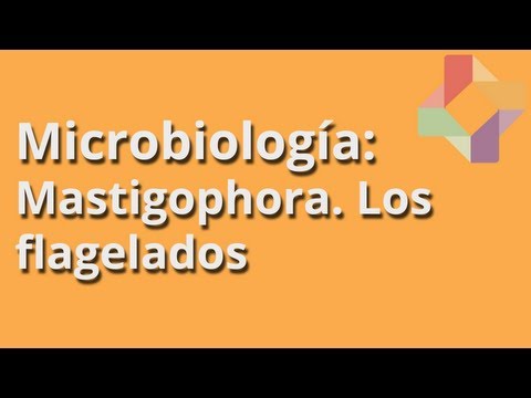 Las lombrices pueden ser la causa del meteorismo