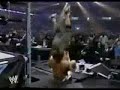 wwe forever