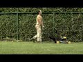 Reversa - Effets Secondaires - Le Jardinier