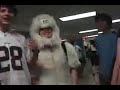 matthew brown street polar bear montage