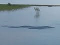 рыбалка в астраханской обл красный яр рыбалка в астраханской обл красный яр