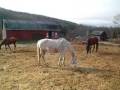 videos de TB Rescue's OTMA 12/4/08